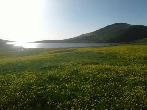 عکس مشکین دشت