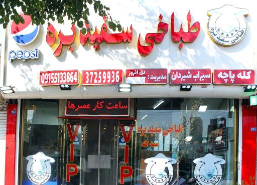 عکس طباخی سفید بره