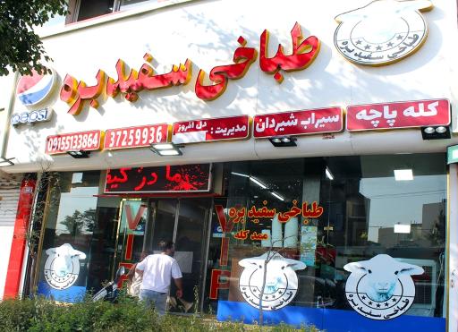 عکس طباخی سفید بره