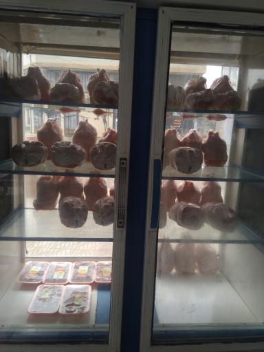 عکس مرغ و ماهی علیرضا 