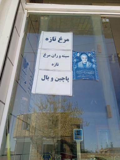 عکس مرغ و ماهی علیرضا 