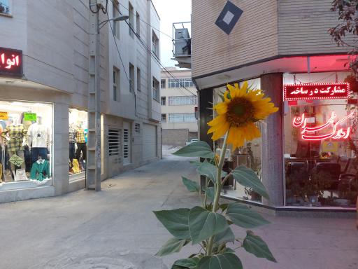 عکس مشاورین املاک طهران
