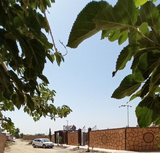 عکس مشاور املاک اخلاقی