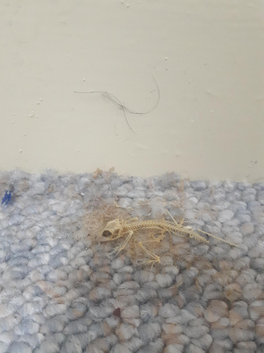 عکس مجتمع آموزش فنون اهواز