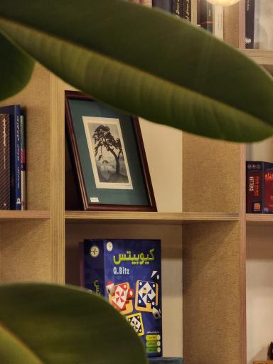 عکس کافه‌ کتاب دال