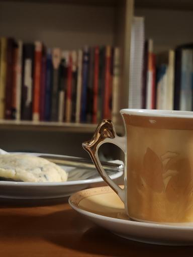 عکس کافه‌ کتاب دال