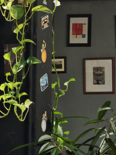 عکس کافه‌ کتاب دال