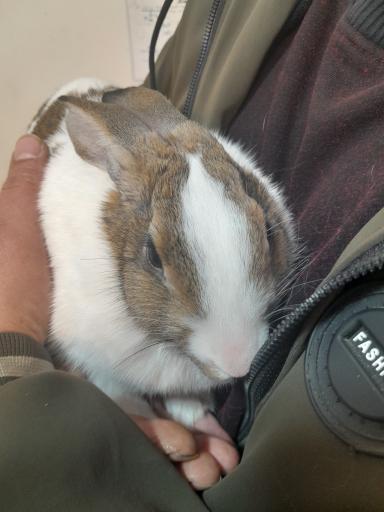 عکس درمانگاه دامپزشکی پت لایف 