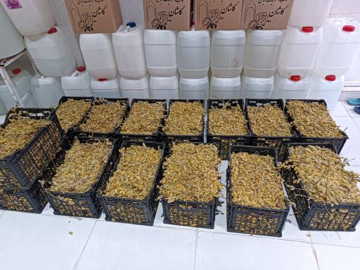 کارگاه گلابگیری علی اکبر عبدلی 