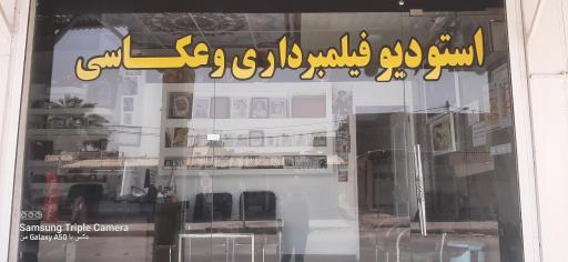 عکس عکاسی شاخی