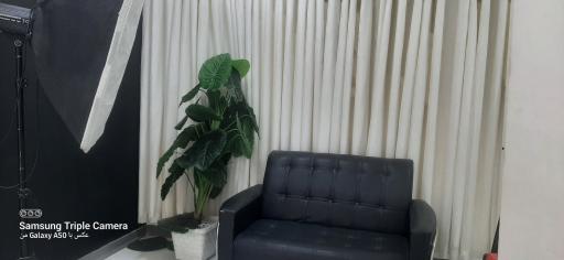 عکس عکاسی شاخی