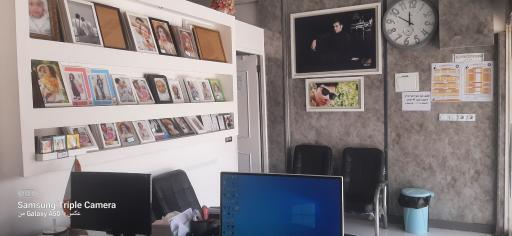 عکس عکاسی شاخی