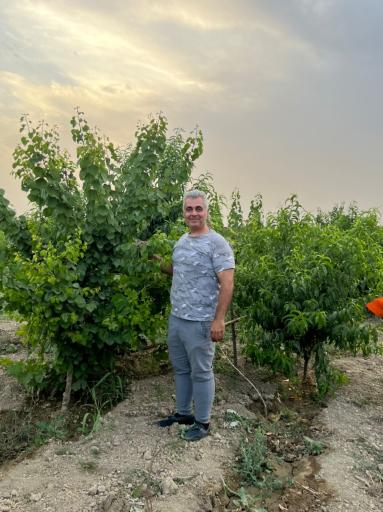 عکس باغچه فریدون