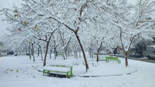 عکس پارک خطی میرزایی