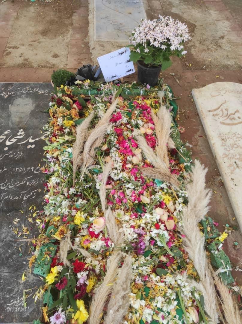 عکس آرامگاه کربلایی علی حمزه علی