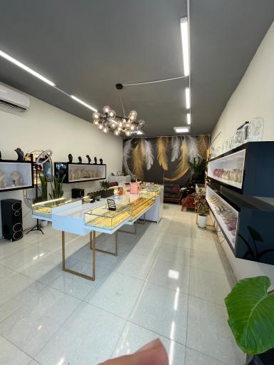 عکس گالری نقره دُر ( نقره رحیمی )