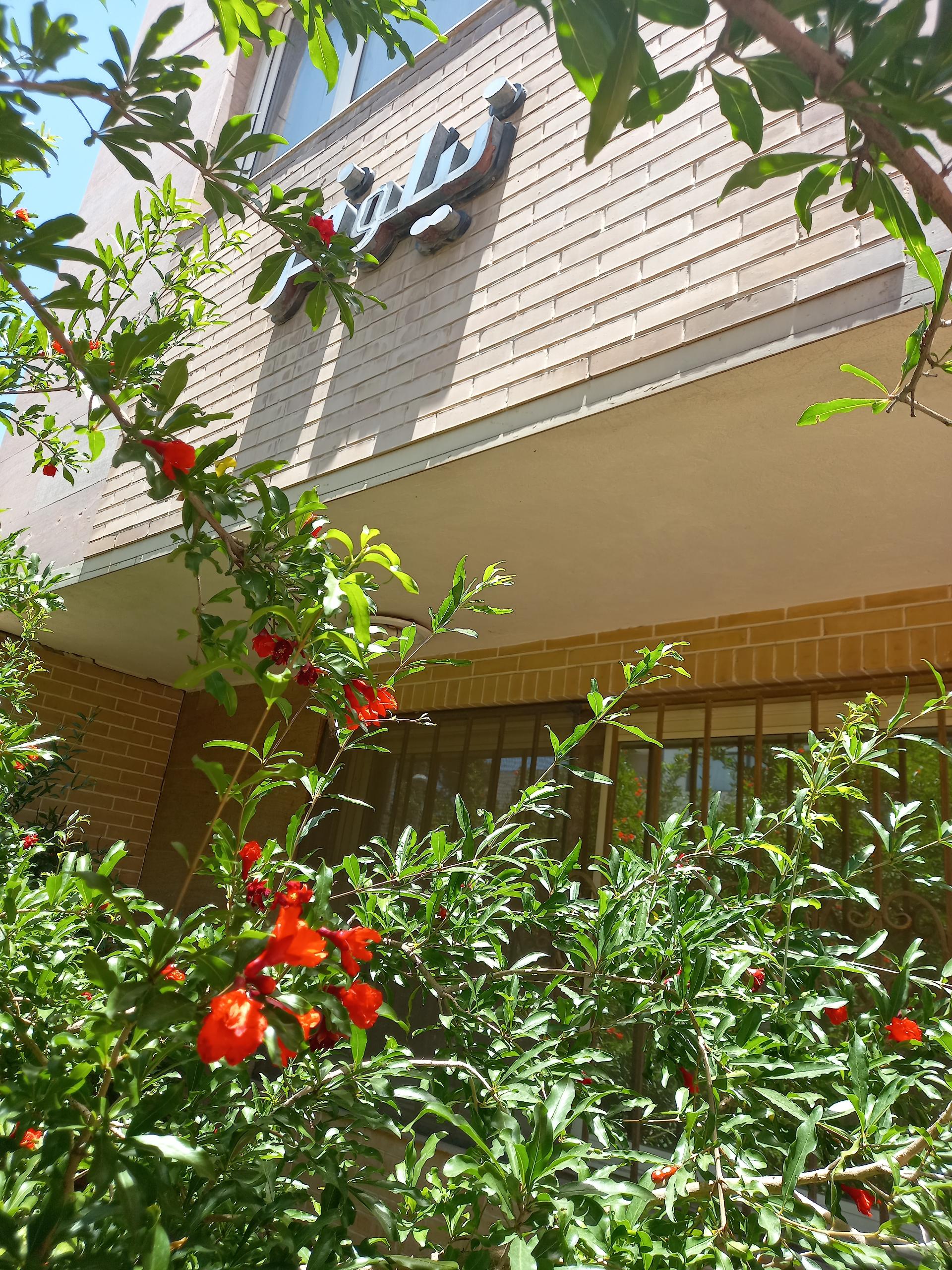 عکس ساختمان نیلوفر