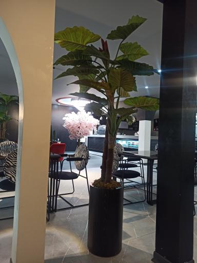 عکس کافه رستوران لایف لند 