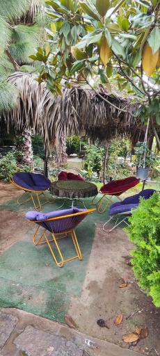 عکس باغ فردوس ساری