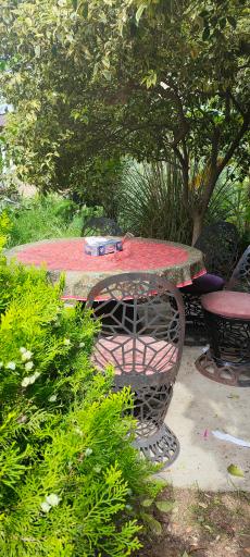 عکس باغ فردوس ساری