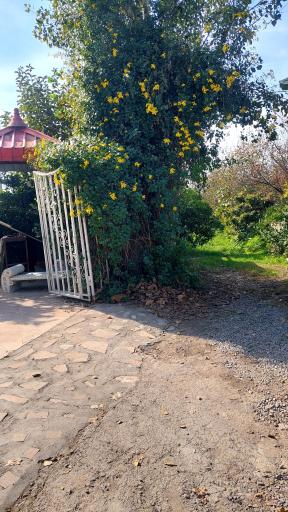 عکس هتل رستوران باغ سرهنگ