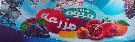 عکس میوه و تره بار مزرعه