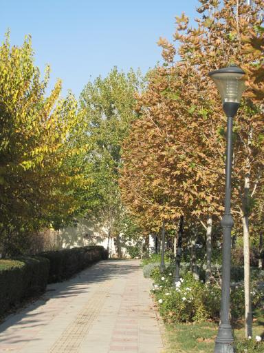 بوستان مادر
