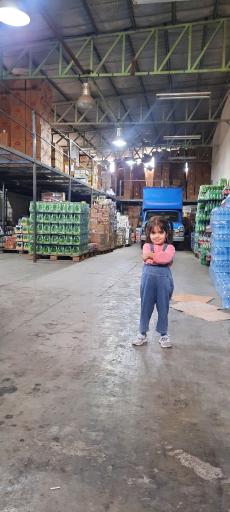 عکس پخش افروز 