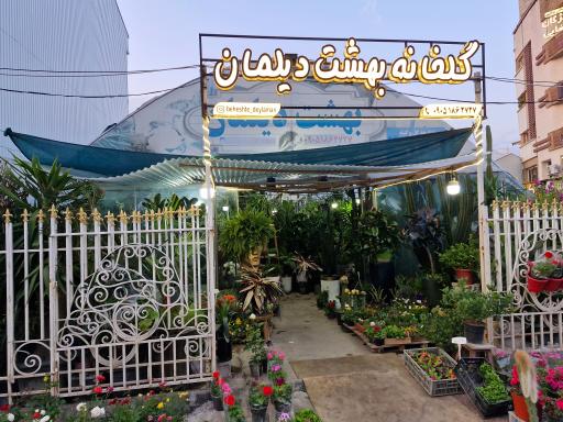 عکس گلخانه بهشت دیلمان