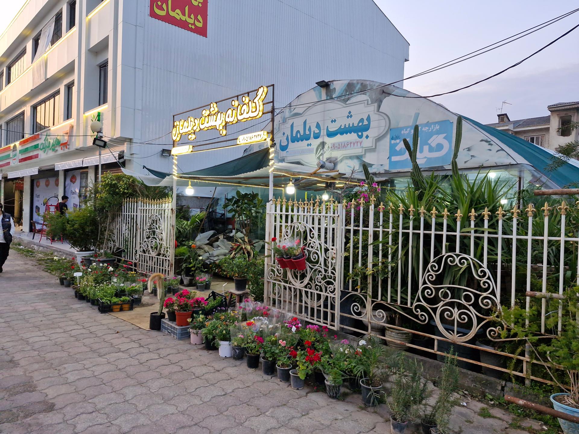 عکس گلخانه بهشت دیلمان