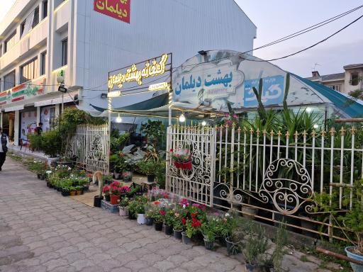 عکس گلخانه بهشت دیلمان