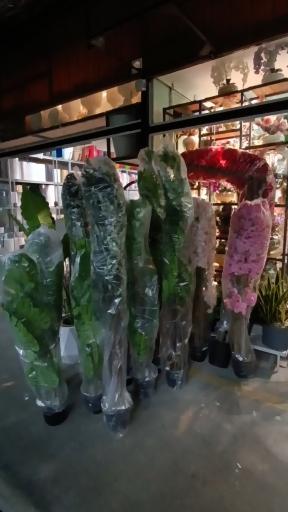 عکس گل و درختچه مصنوعی ریحانا