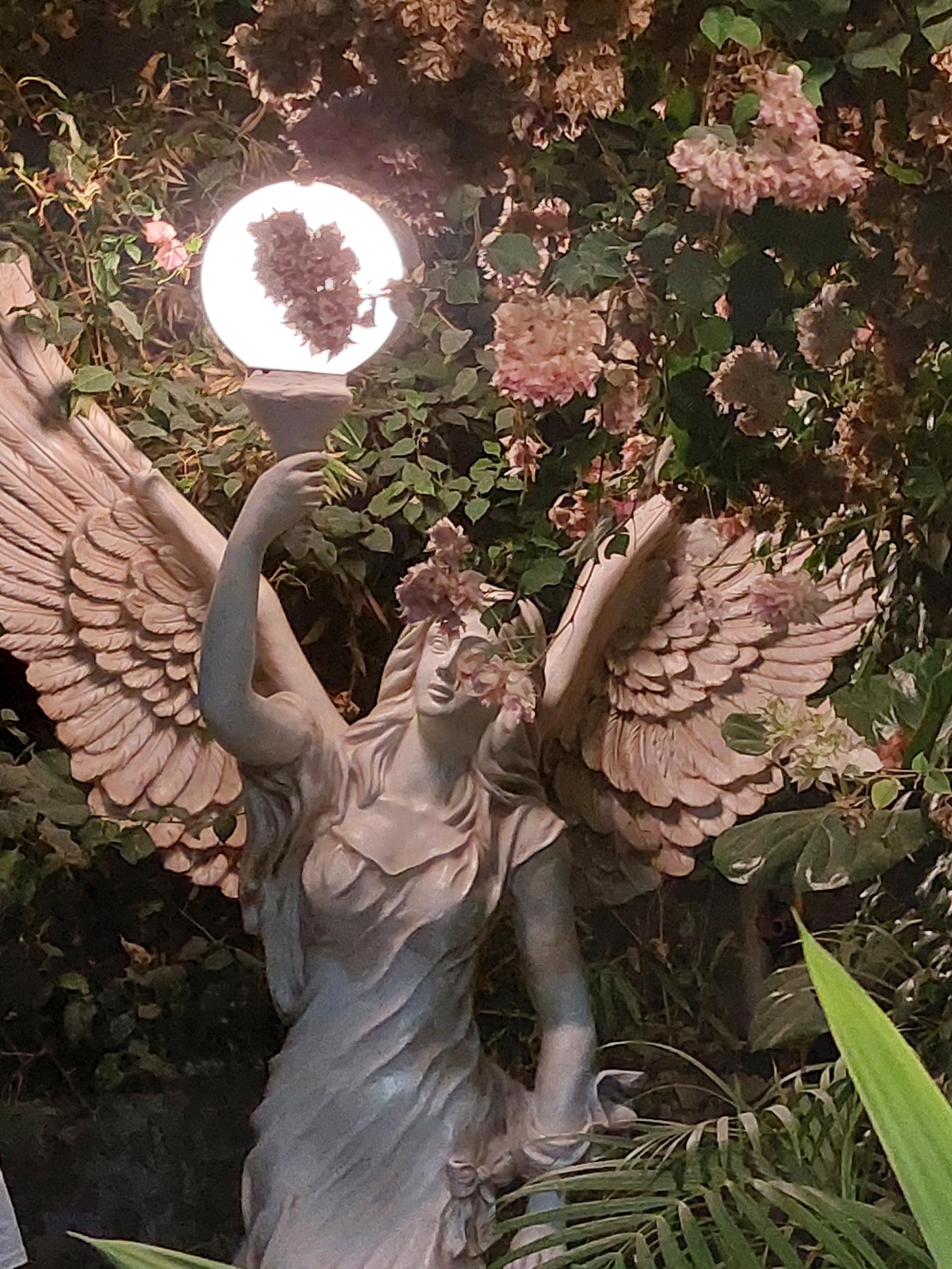 عکس کافه رستوران پالم