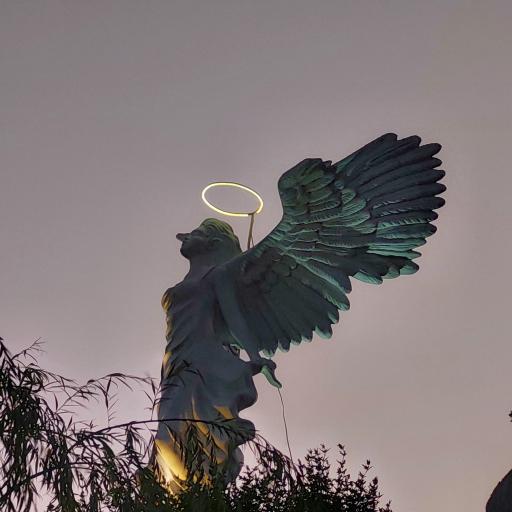 عکس کافه رستوران پالم