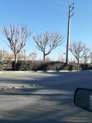 عکس بوستان مادر