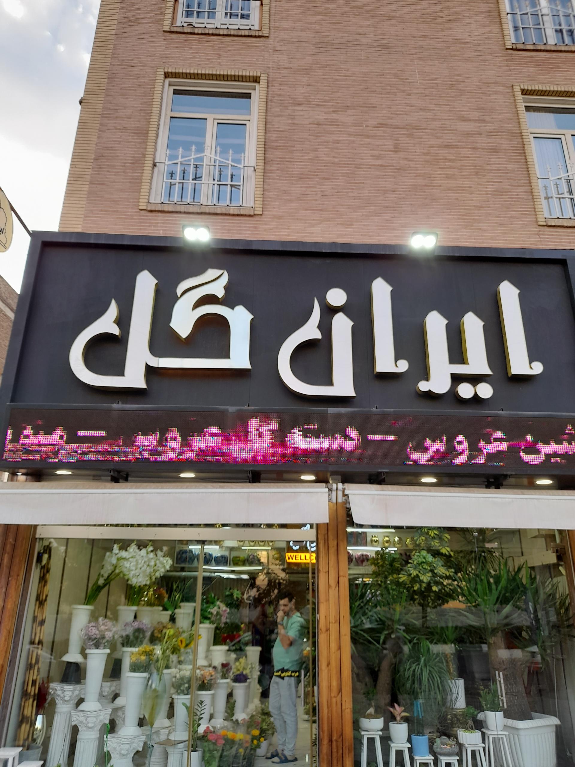 عکس ایران گل