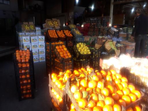 عکس بار و امانت فروشی محسن و حمید مصلی