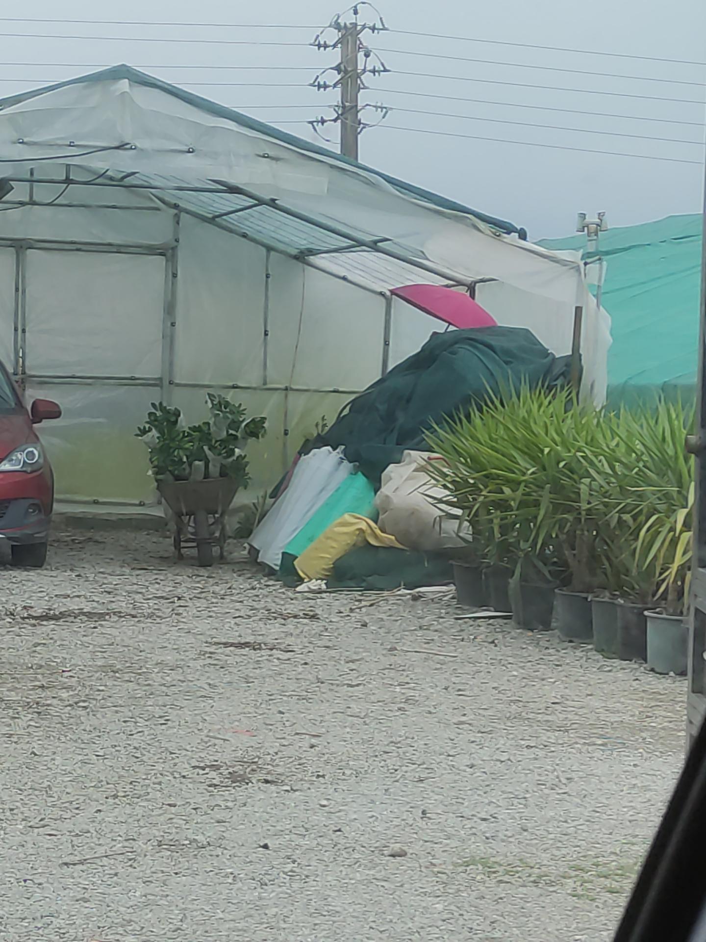 عکس گلخانه بهشتی