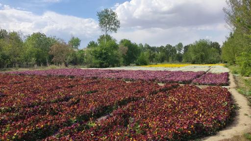 پارک ساحلی ناژوان