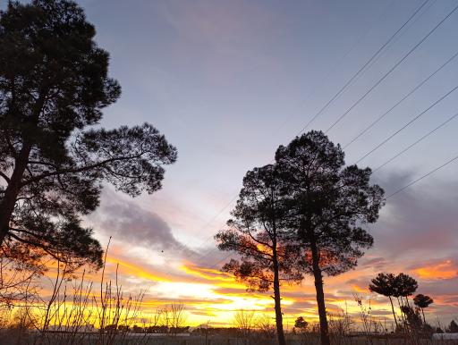 عکس پارک ساحلی ناژوان