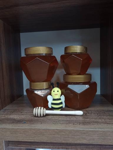 عکس سلطان عسل 