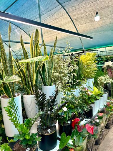 عکس گلخانه گلستان 