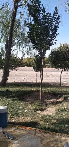 عکس پارک ساحلی ناژوان