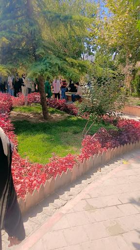 عکس پارک ساحلی ناژوان