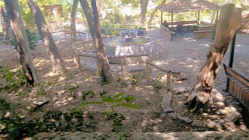 پارک ساحلی ناژوان