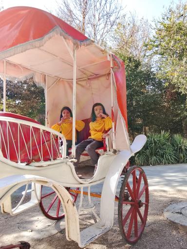 عکس پارک ساحلی ناژوان