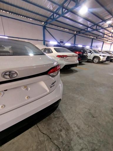 نمایندگی هیوندای و کیا ۲۰۳ آسان کار