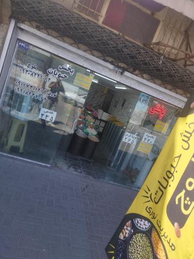 عکس حبوبات بلوچ