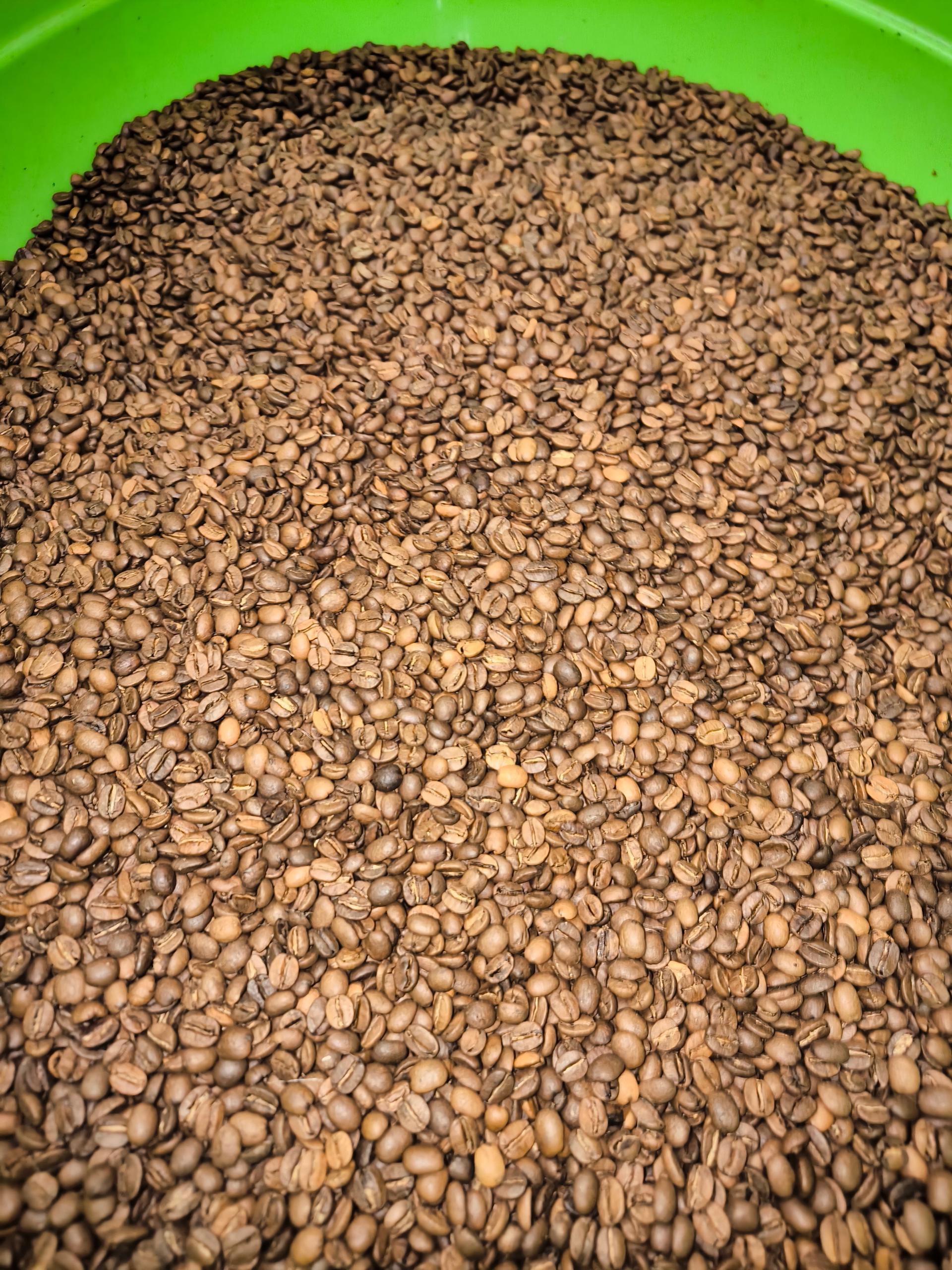 عکس خانه قهوه عمده کلاویه