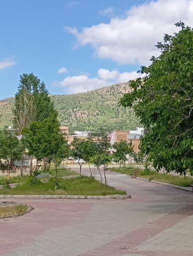 عکس پارک بژوار